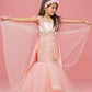 Peach Ayesha Gown